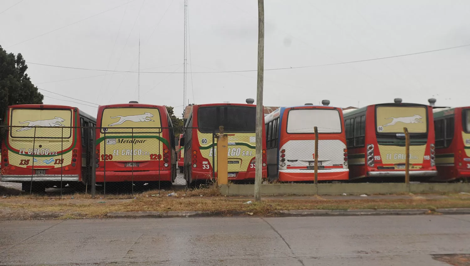 EN LOS GALPONES. Debido al paro de colectiveros, las unidades permanecen guardadas en los predios de las empresas.