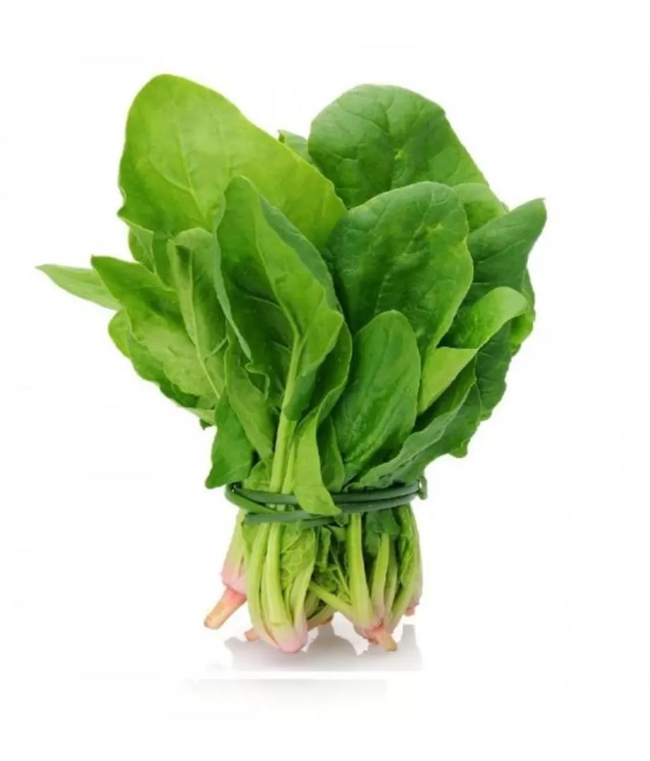 FRESCA. Se puede hacer cruda o cocida en diversas preparaciones. 