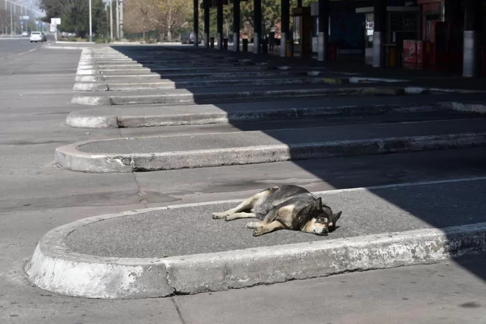 SIN SERVICIO. Terminal de ómnibus de la capital. la gaceta / foto de inés quinteros orio