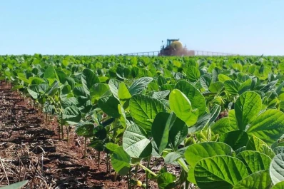 Avanza en el país una iniciativa para reducir carbono y GEI