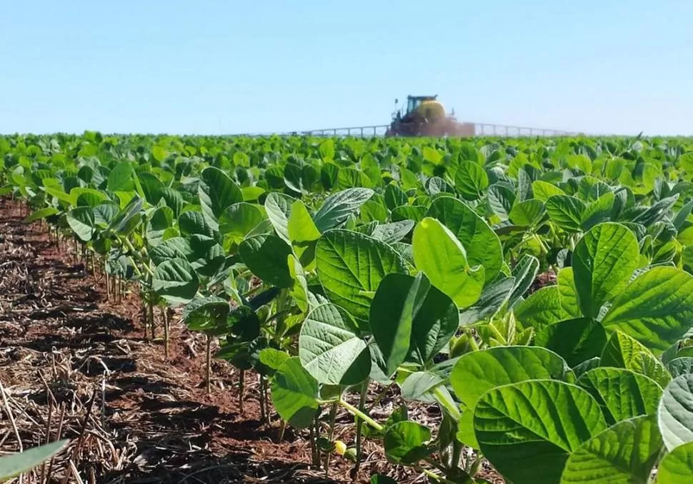 META. Bayer tiene como objetivo ser carbono neutra para 2030.  