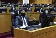 Tensión en la Legislatura por el caso Leiva: es una vergüenza que prefieran hablar del lapacho rosado