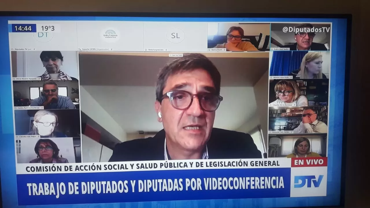 El diputado Pablo Yedlin, en reunión virtual de comisión.