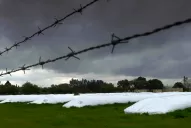 Entidades del agro cuestionaron las nuevas disposiciones para la compra de dólares