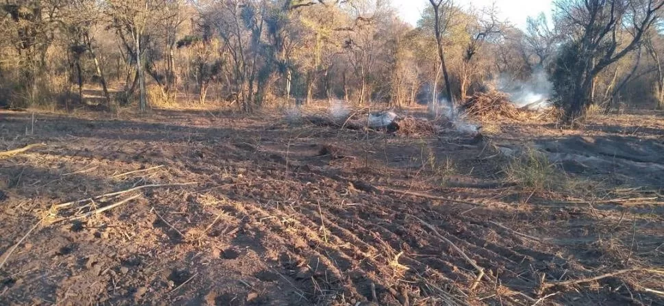 TERRENO. El denunciante asegura que un vecino le envió gente para que lo golpearan y empezaran a marcar lotes en sus dos hectáreas de tierra.  