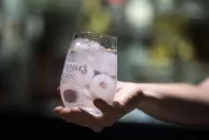 Simple y versátil, el gin tonic vino para quedarse