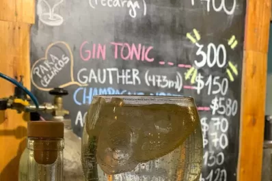 ¿Cuál es el origen del gin tonic?