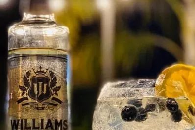 Gines de autor tucumanos