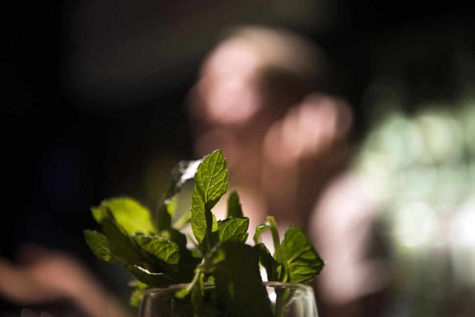 EL TOQUE VERDE. Menta, cilantro, pepino, una rama de romero... todo se puede probar.