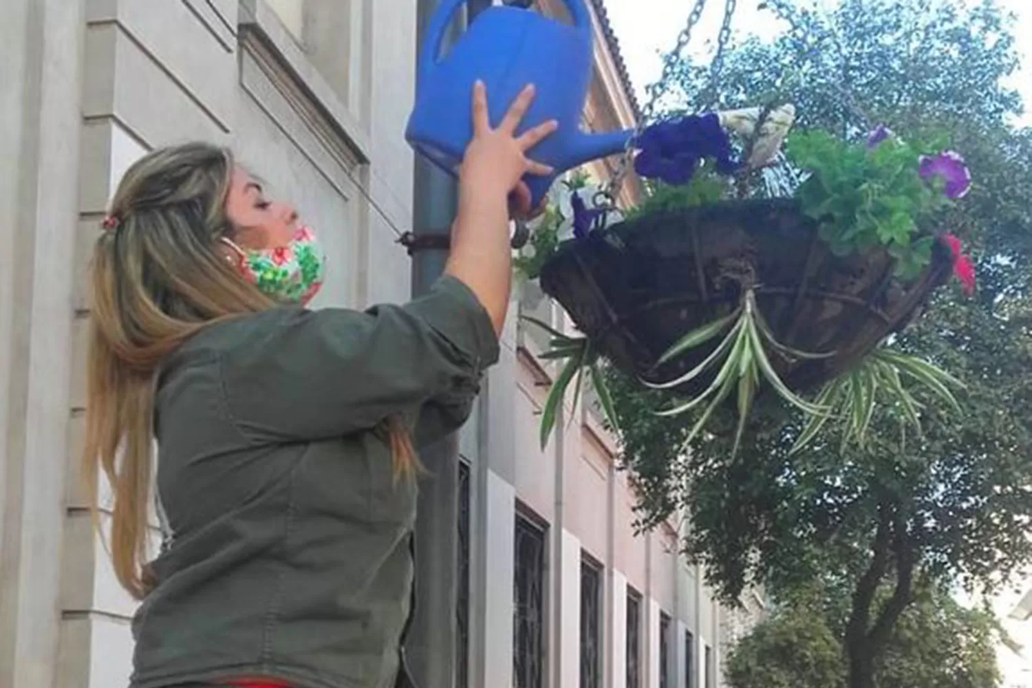 En la capital: nuevas plantas y flores en la peatonal