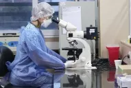 Tucumán alcanzó las 138 muertes por coronavirus; el 80% se produjo este mes