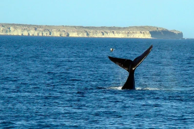 El Instituto Nacional de Promoción Turística ofrece recorridos virtuales por la Argentina