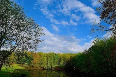 ¿Por qué azul y verde son los colores más brillantes de la naturaleza?