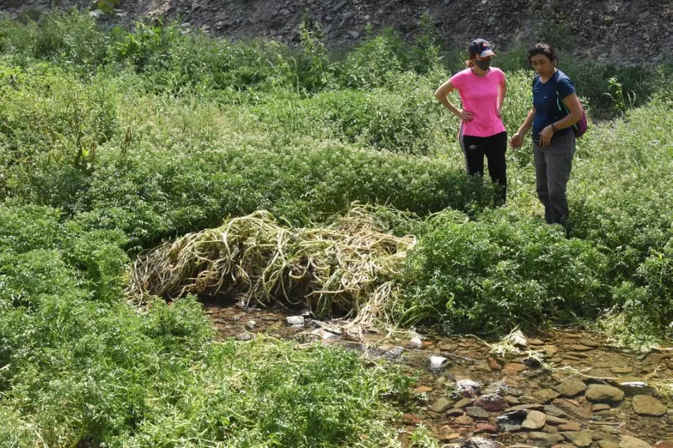 TOMA RÍO MUERTO. La SAT proyecta mejorar la toma de agua. ARCHIVO LA GACETA