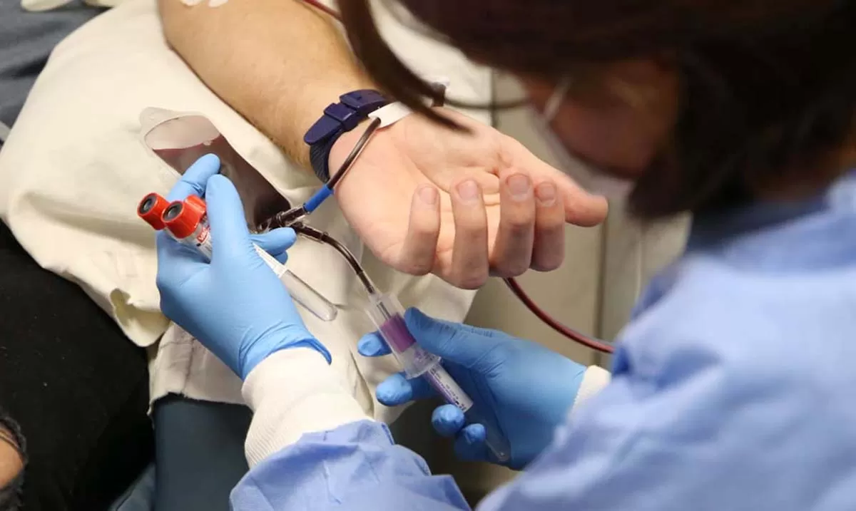 Donación de sangre. FOTO: MINISTERIO DE SALUD PÚBLICA. 