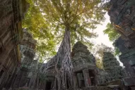 Inventario de las ruinas judiciales