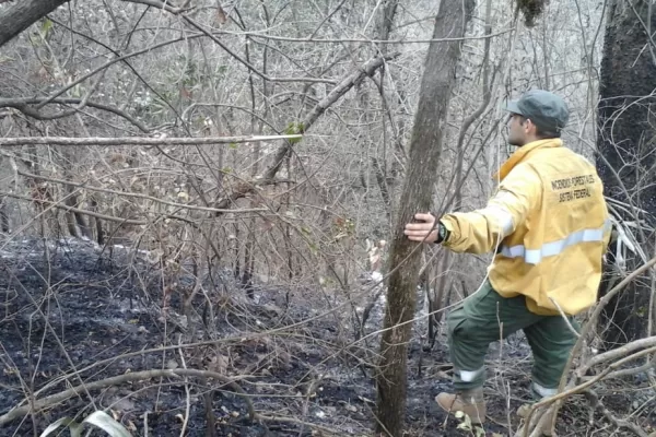 Buscan que Tucumán adhiera a la ley nacional de manejo del fuego