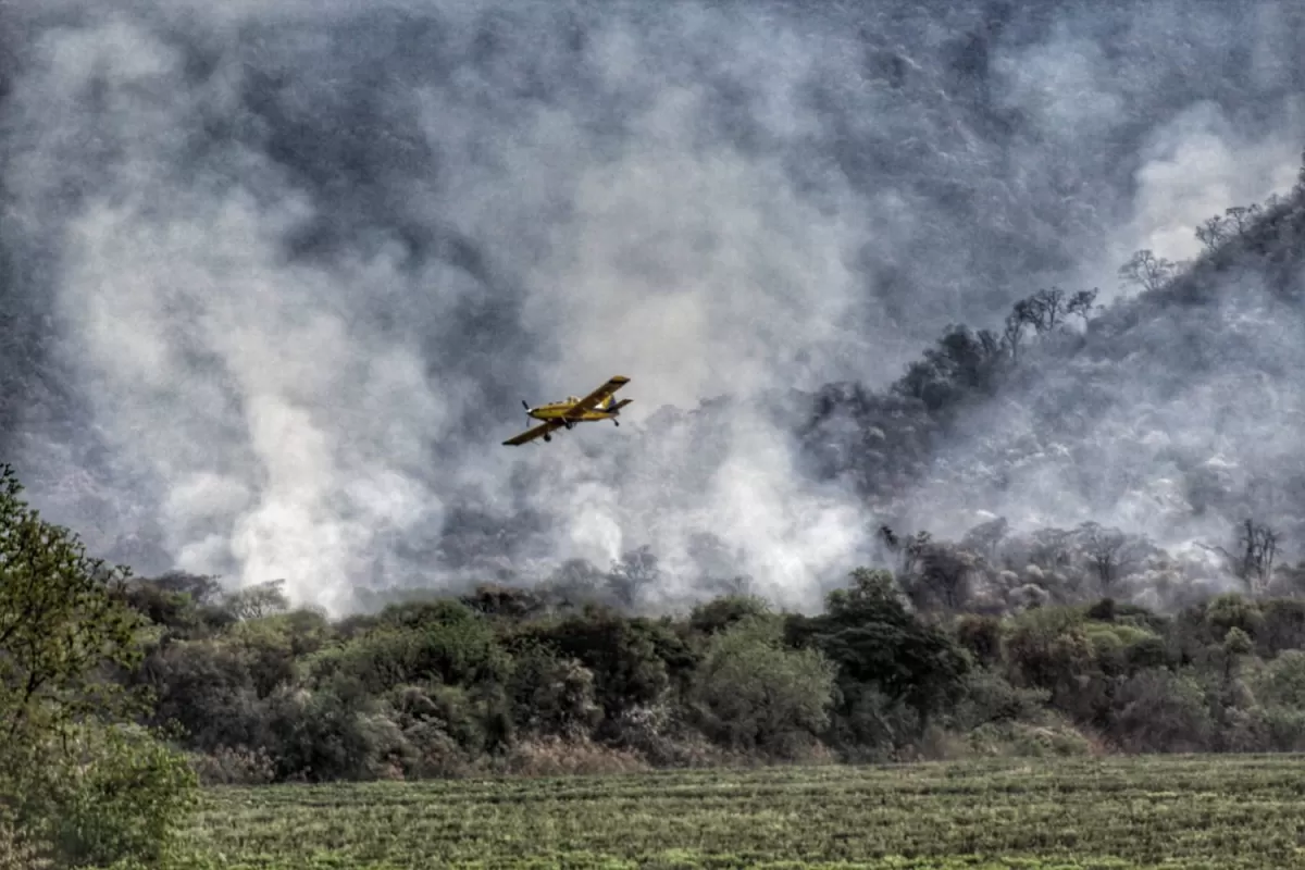 EN PLENO COMBATE CONTRA LAS LLAMAS. Uno de los cuatro aviones hidrantes que trabajaron ayer en Yánima para apagar el fuego. 