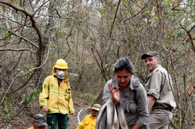 Incendio en los cerros: “Hace falta una política de control de fuegos”