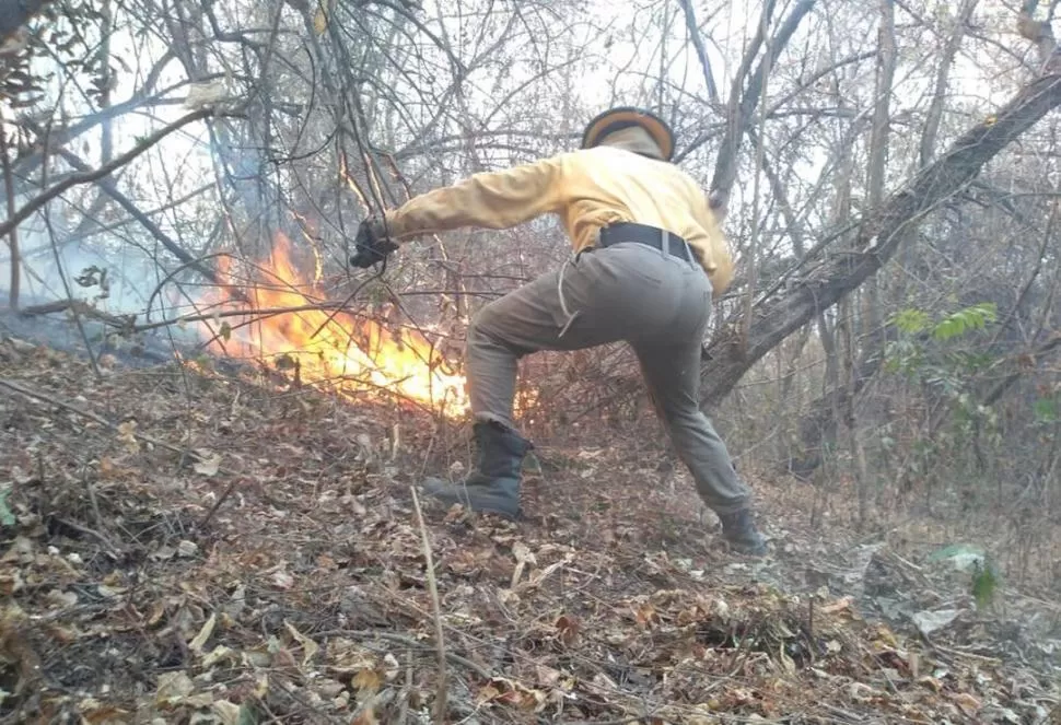 LUCHA EN YÁNIMA. El viento y el calor contribuyeron a animar el fuego, y se temía que llegara hasta fincas con plantaciones de paltas y citrus.  foto gentileza BOMBEROS VOLUNTArios