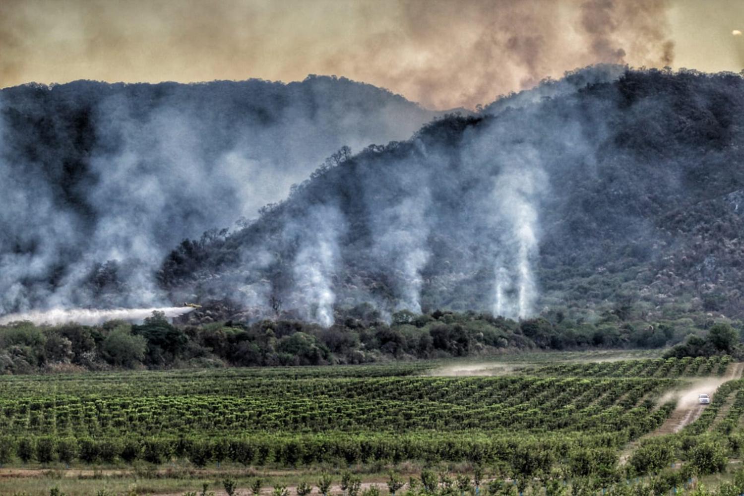 DENSAS COLUMNAS DE HUMO. En las laderas de la montaña hay bosques autóctonos y abajo, cultivos.