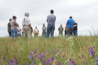 Ensayos de cultivos de servicio y de fertilización nitrogenada