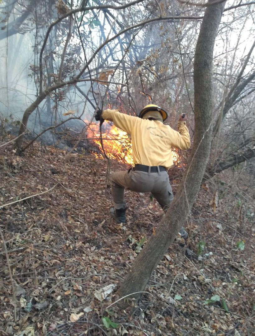 EN ACCIÓN. Un bombero enfrenta el fuego en medio de los cerros.