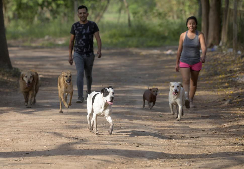  la gaceta / fotos de franco vera  