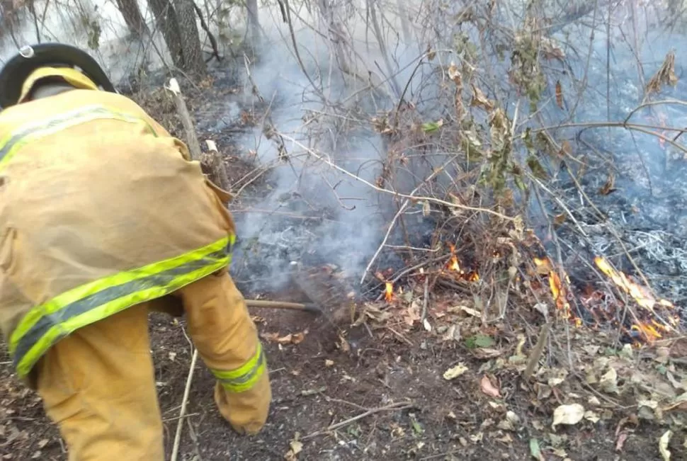 SEQUEDAD EXTREMA. La ausencia de lluvias y la poca humedad complican las tareas de extinción del fuego. 