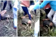 En lo que va del año hubo al menos 13 casos de justicia por mano propia en Tucumán