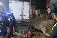 El menor golpeado tras un intento de robo fue dado de alta y liberado: no había denuncia