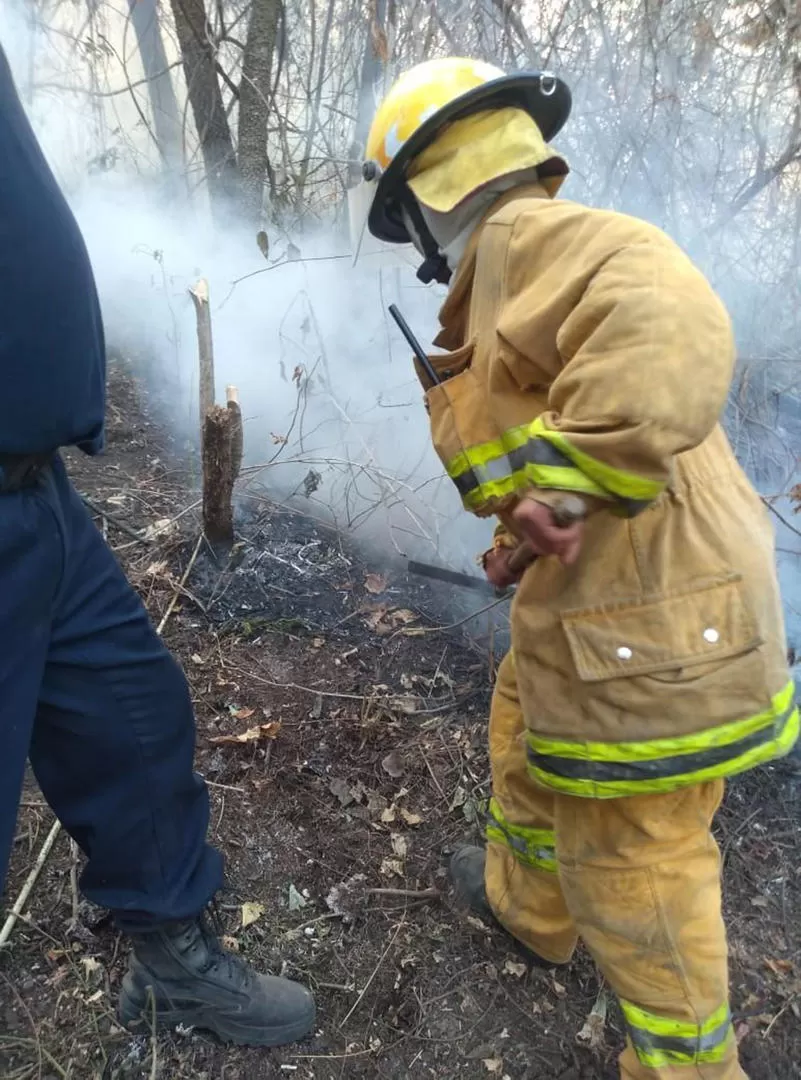  gentileza BOMBEROS VOLUNTArios DE ALBERDI