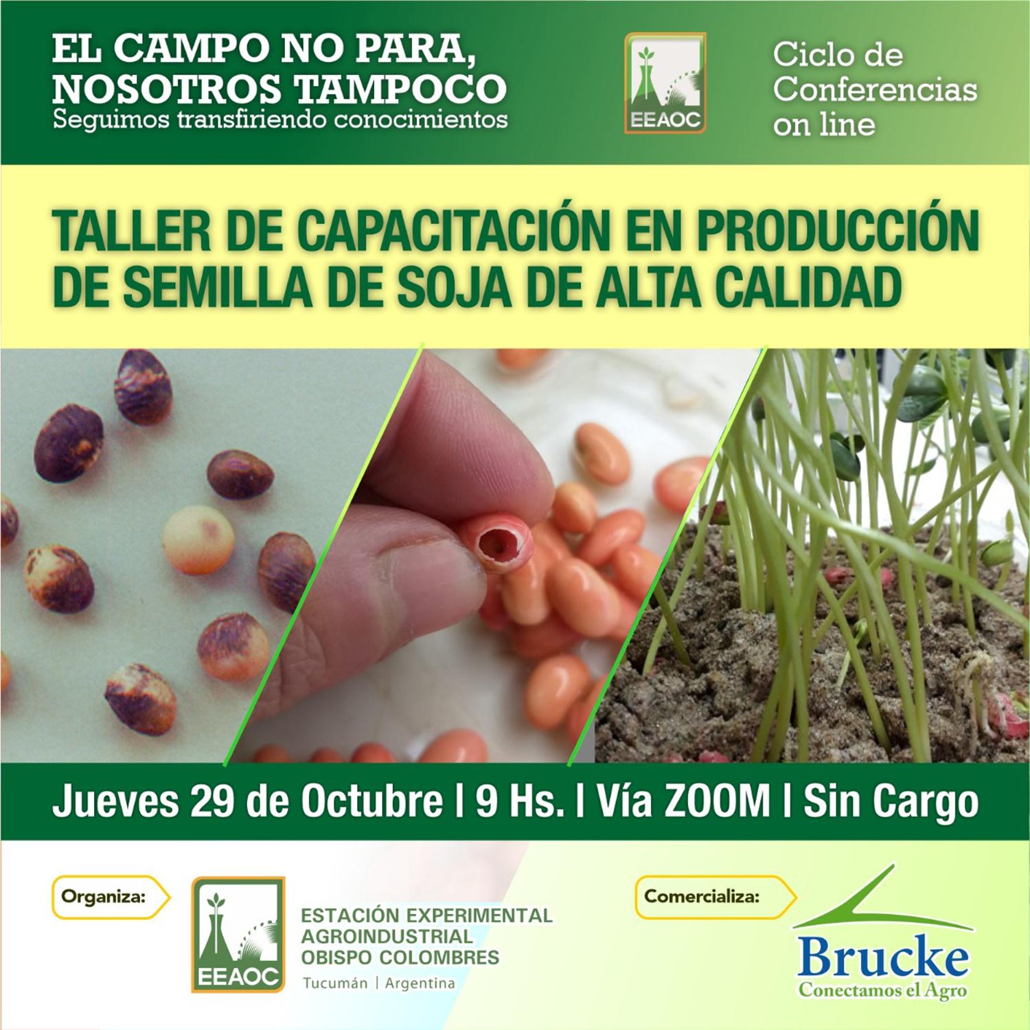 La Eeaoc capacitará sobre producción de semillas de soja de alta calidad