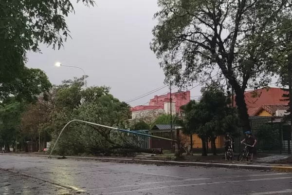 Cómo trabaja la Municipalidad capitalina ante los anegamientos y daños por tormentas
