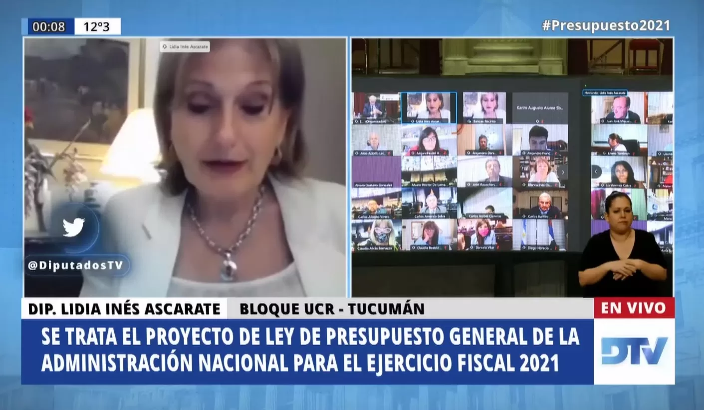 LIDIA ASCÁRATE. La diputada, en el debate del Presupuesto. captura de video