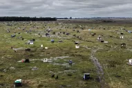 La Conferencia Episcopal Argentina advirtió que la Iglesia no avala las tomas