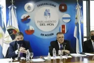 Jaldo: celebramos la media sanción de la prórroga de la Ley de Biocombustibles