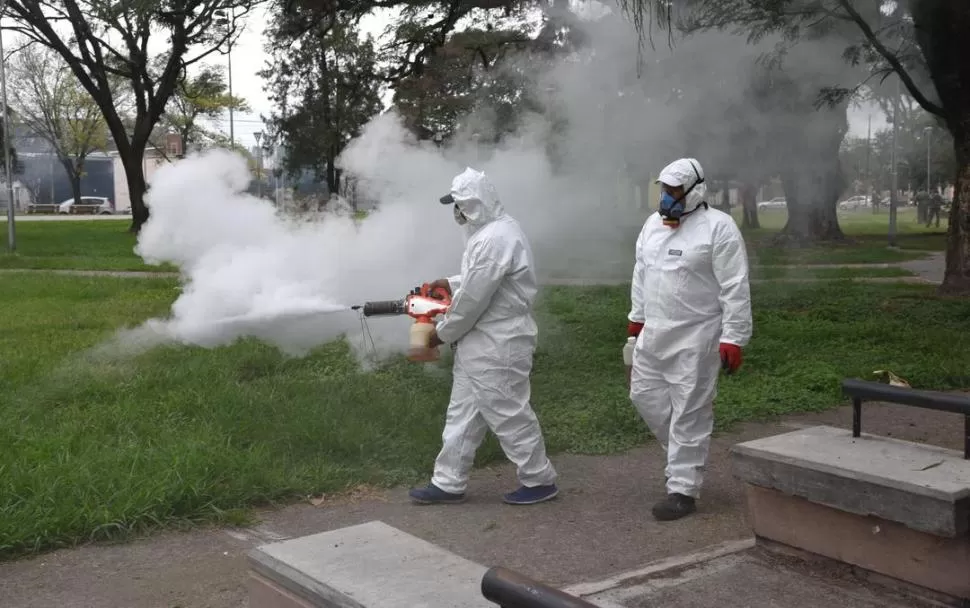 ACCIONES PREVENTIVAS. Los gobiernos municipal y provincial siguen tomando medidas contra el mosquito para prevenir el dengue. 