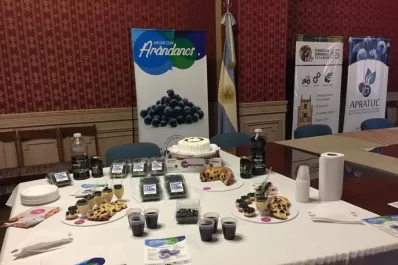 El consumo del arándano crece en el mercado interno