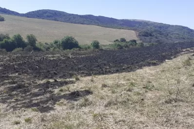 El Cadillal: extinguieron el fuego en el cerro Medina