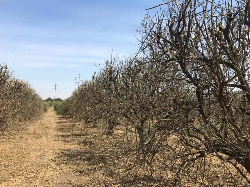 DATO. Las precipitaciones desde marzo a agosto de 2020 fueron escasas.  