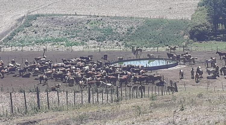 El Cadillal: extinguieron el fuego en el cerro Medina