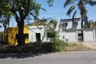 Peligro de corte de cables en Pellegrini al 100