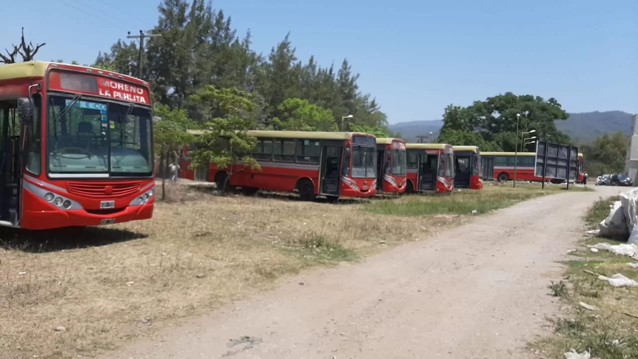 Las unidades para el nuevo servicio en Tafí Viejo.