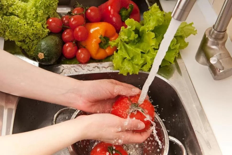 PROYECTO. Evitar la pérdida de alimentos. 