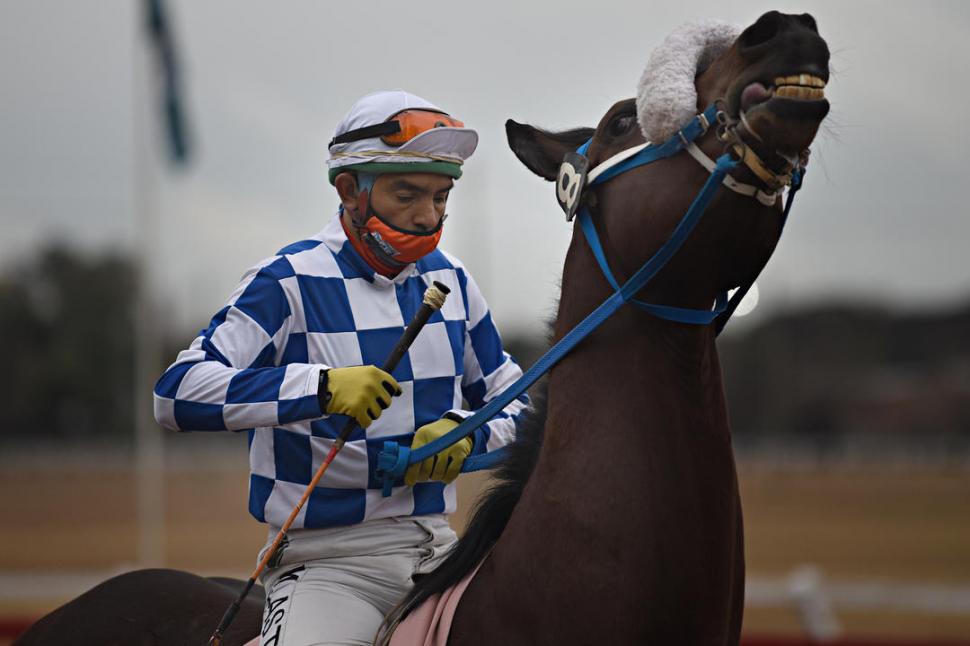 ESTÁ LISTO. El jinete “Willy” Lastra montará a Macellum en el clásico que se correrá sobre 1.600 metros.