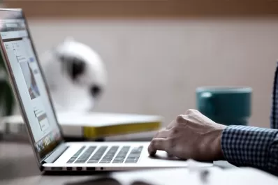 El poder de la desconexión