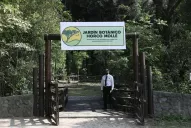 ¿Se puede revivir el primitivo Horco Molle? la UNT busca retroceder hasta la selva original