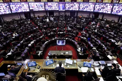 La propuesta de suspender las PASO comenzaría a debatirse esta semana en Diputados