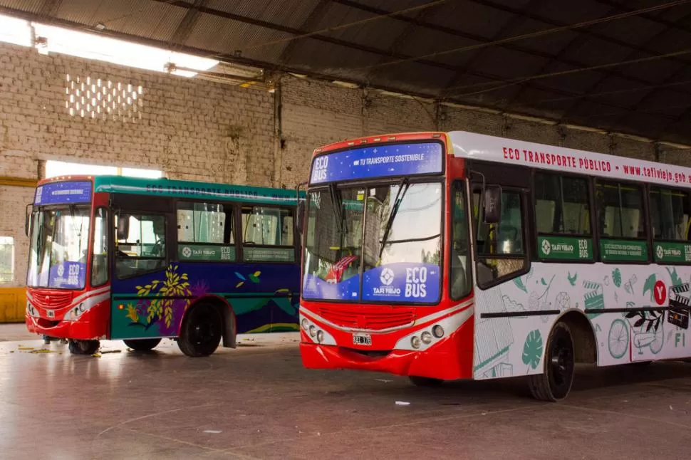 SUSTENTABLES. Los coches usan biodiésel que se elabora en base a aceite usado de cocina. 